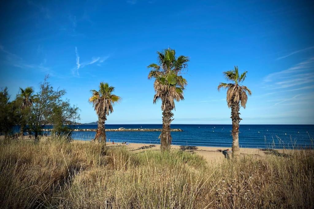 Port-Frejus, Le Paladien, Appartement 2 Pieces Climatise, Terrasse & Parking エクステリア 写真