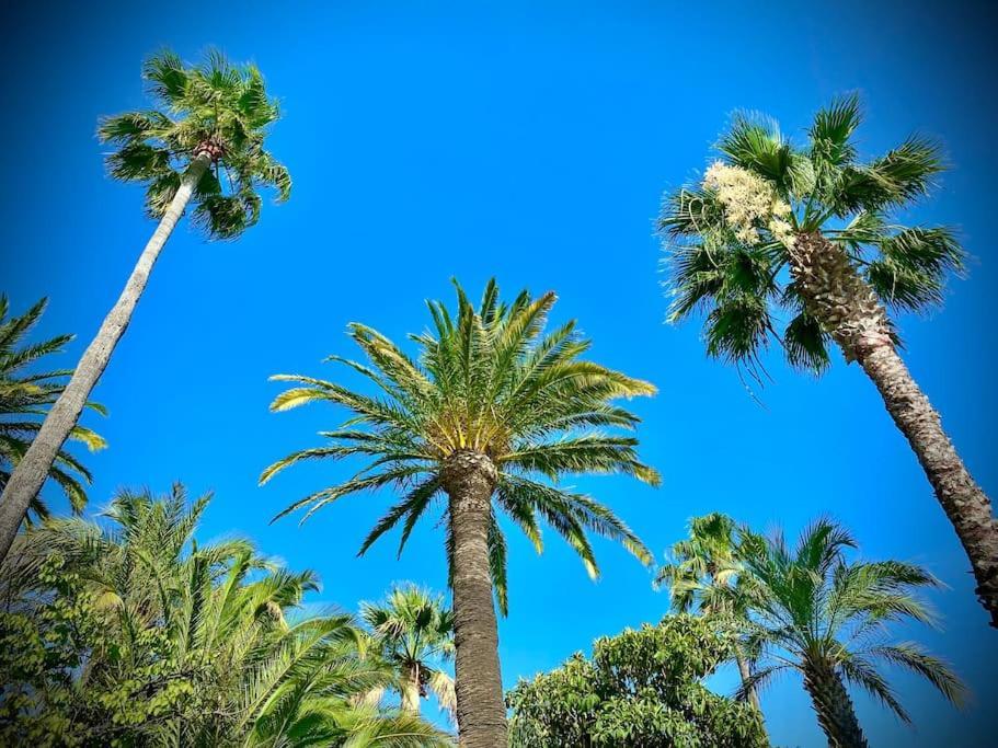 Port-Frejus, Le Paladien, Appartement 2 Pieces Climatise, Terrasse & Parking エクステリア 写真